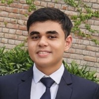 Developer